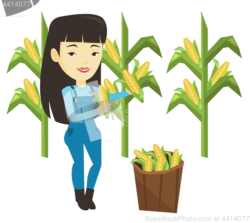 Image of Farmer collecting corn vector illustration.