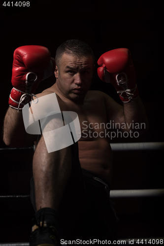 Image of professional kickboxer in the training ring