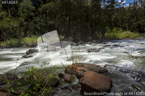 Image of River rapids in the wilderness