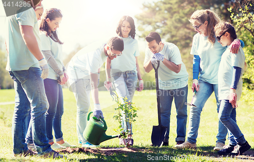 Image of group of volunteers planting and watering tree