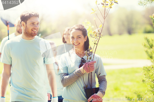 Image of group of volunteers with trees and rake in park