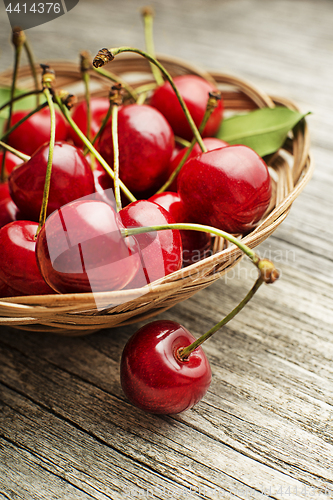 Image of Cherry 