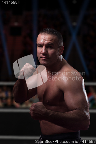 Image of professional kickboxer in the training ring