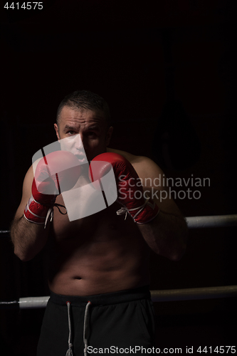 Image of professional kickboxer in the training ring