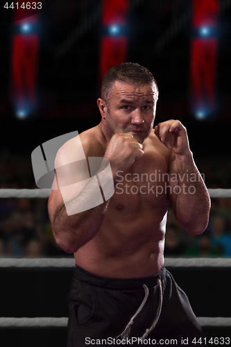 Image of professional kickboxer in the training ring