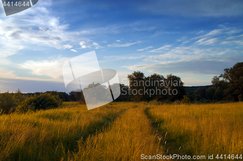 Image of Road through the meadow at autumn evening