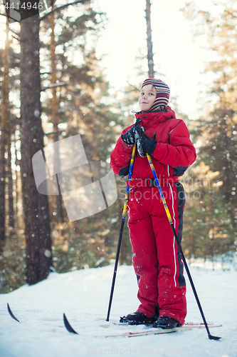 Image of skiing in the forest