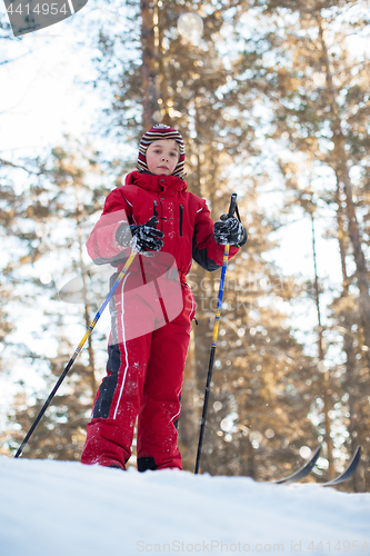 Image of skiing in the forest