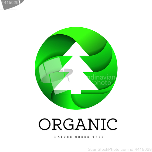 Image of Organic tree spruce sign on a white background in the shape of a circle. Logo for organic and all that is connected with trees and nature