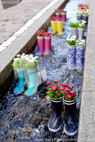 Image of Rubber boots in the water with flowers in the city of Freiburg. Tourist attraction.