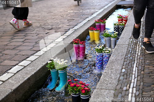 Image of Rubber boots in the water with flowers in the city of Freiburg. Tourist attraction.