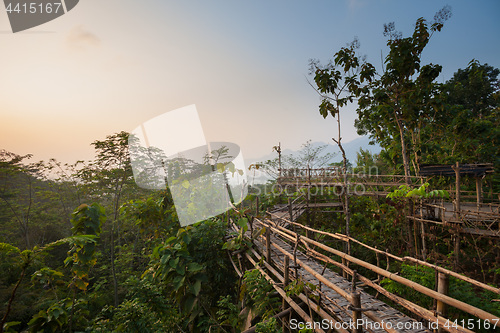 Image of Bamboo walkway in the jungle