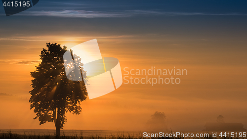Image of Panoramic morning scenery of sunrise over foggy meadow