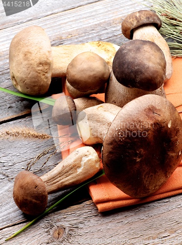 Image of Raw Boletus Mushrooms