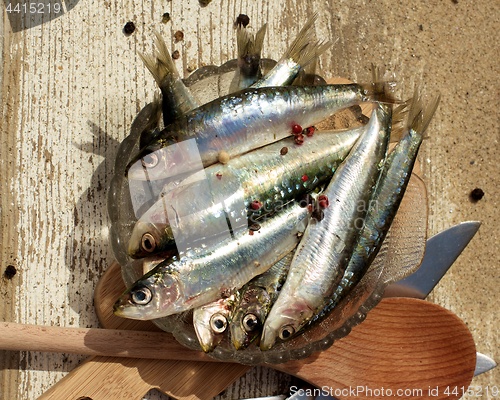 Image of Raw Fresh Sardines