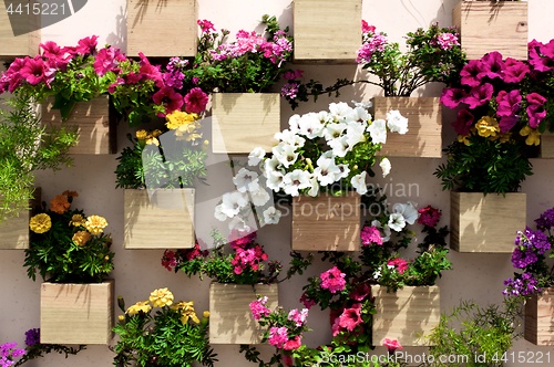 Image of Wall with Flower Decoration