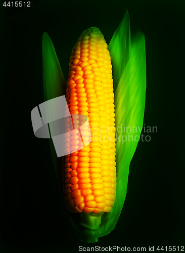 Image of Corn ear isolated on black. Vector