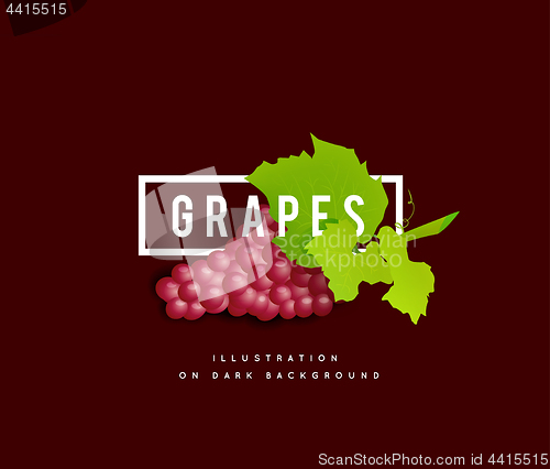 Image of Grape branch with red grapes. Realistic vector illustartion