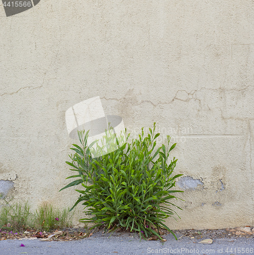 Image of abandoned grunge cracked stucco wall