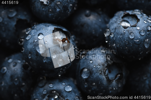 Image of Fresh blueberry with water drops