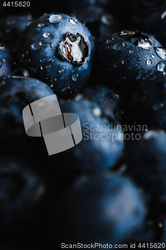 Image of Fresh blueberry with water drops