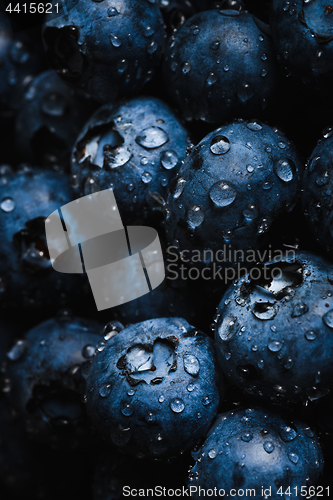 Image of Fresh blueberry with water drops