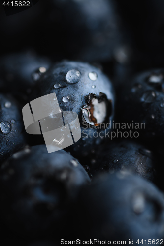 Image of Fresh blueberry with water drops