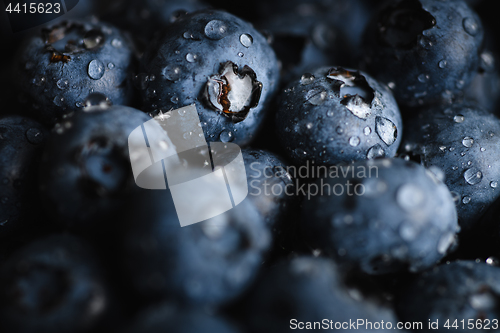 Image of Fresh blueberry with water drops