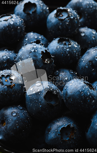 Image of Fresh blueberry with water drops