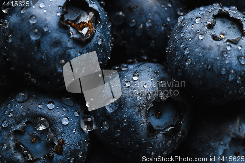 Image of Fresh blueberry with water drops