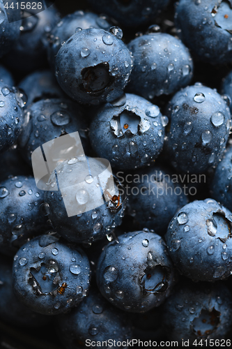 Image of Fresh blueberry with water drops