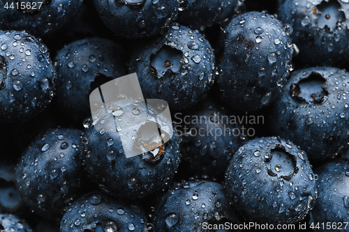 Image of Fresh blueberry with water drops