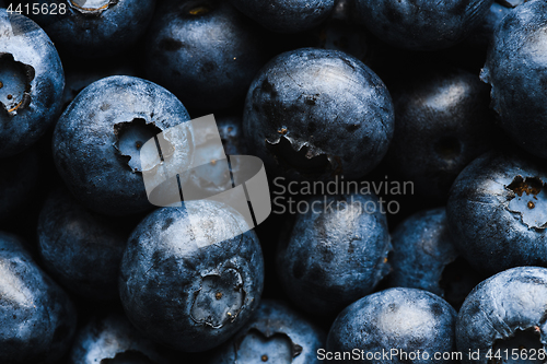 Image of Fresh blueberry with water drops