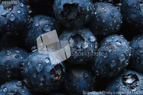 Image of Fresh blueberry with water drops