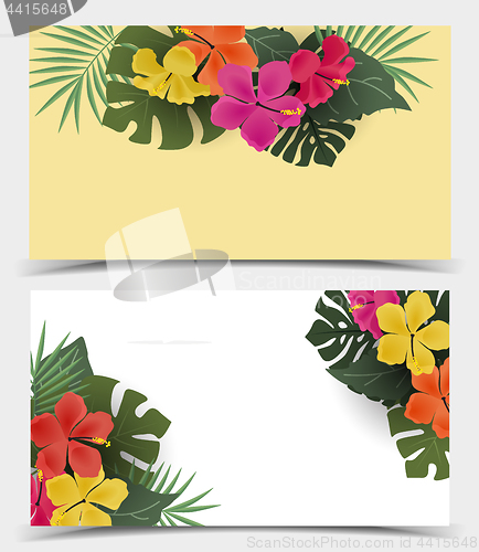 Image of Background with tropical flowers