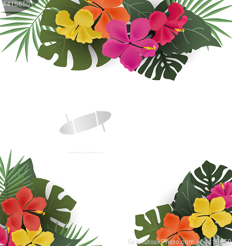 Image of Background with tropical flowers