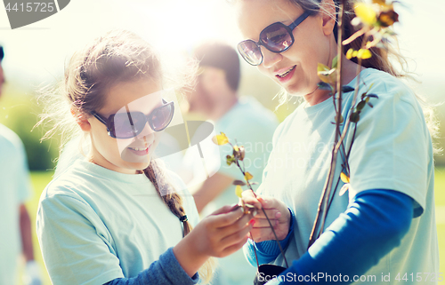 Image of volunteers family with tree seedling in park