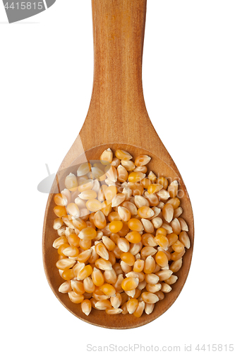 Image of Corn kernel in a spoon