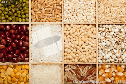 Image of Different types of grains and beans