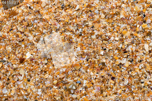 Image of Wet multicolor sand on beach in sun summer day