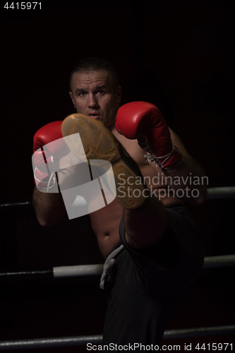 Image of professional kickboxer in the training ring