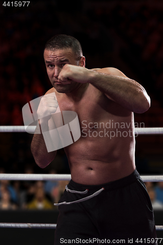 Image of professional kickboxer in the training ring