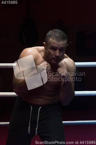 Image of professional kickboxer in the training ring