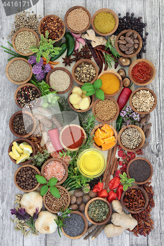 Image of Culinary Herbs and Spices for Seasoning
