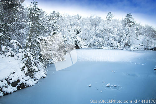 Image of Norwegian Winter