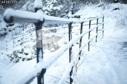 Image of Norwegian Winter