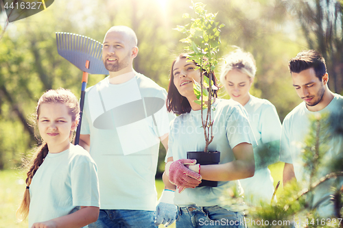 Image of group of volunteers with trees and rake in park