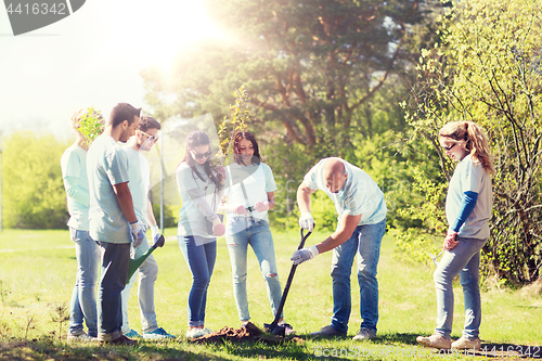 Image of group of volunteers planting tree in park