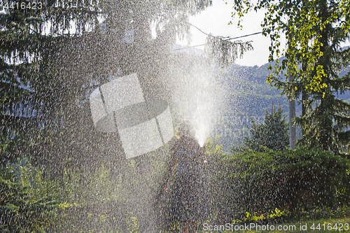 Image of A young woman Watering a lawn in the yard of the house, a backgr