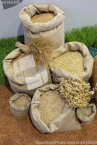 Image of Grains in Sacks